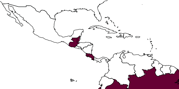 map of Agelaia centralis     (Cameron, 1907)